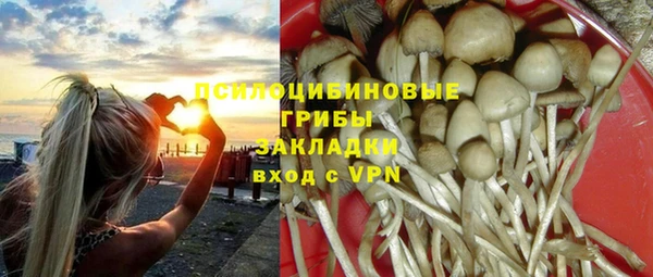 Альфа ПВП Абаза