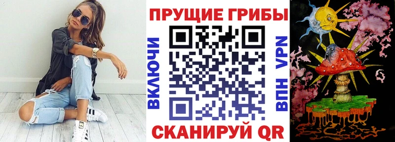 Галлюциногенные грибы Psilocybe  Карасук 